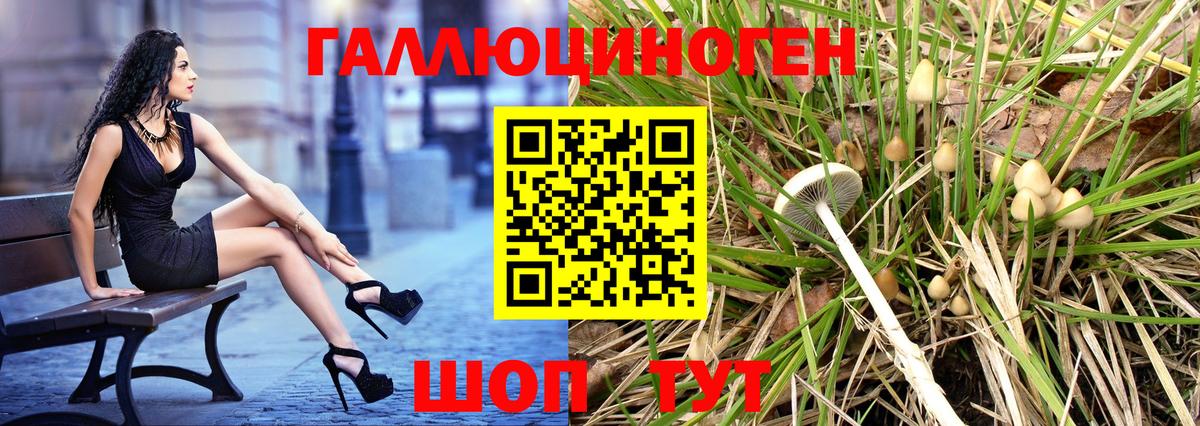 Арзамас  Псилоцибиновые грибы Psilocybe  Псилоцибиновые грибы GOLDEN TEACHER  Вход с VPN 